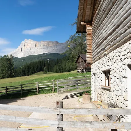Apartements Precalalt